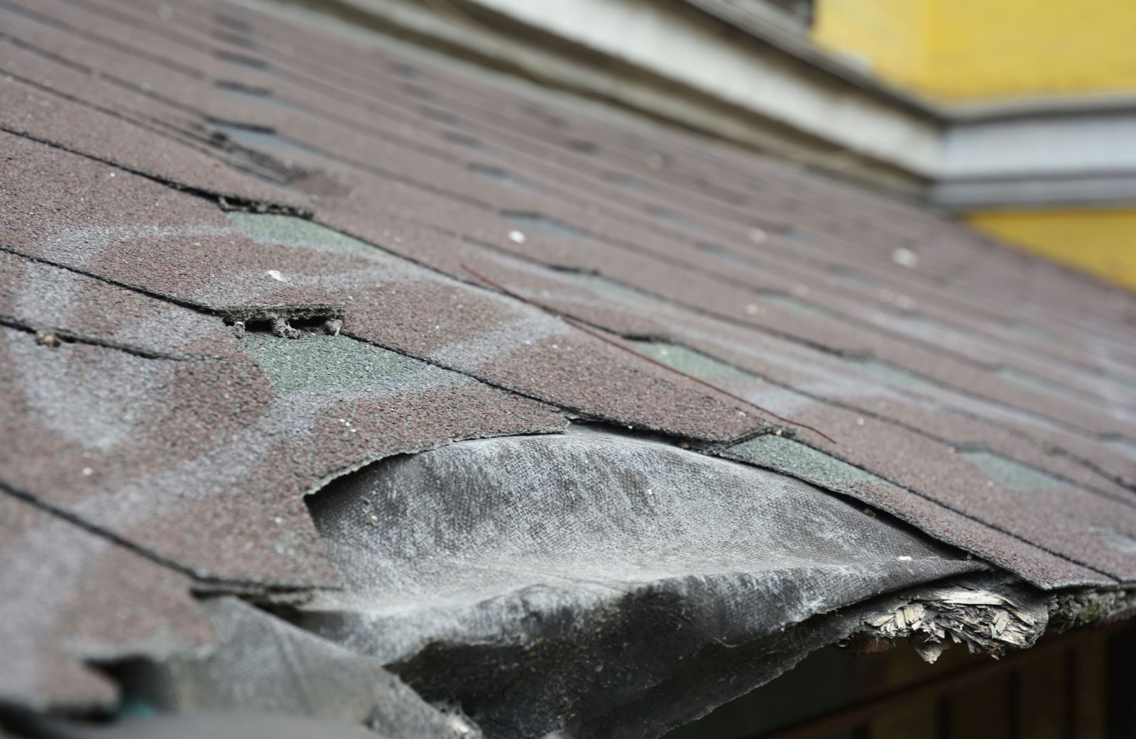 Stallion Roofing & Solar Solutions Images