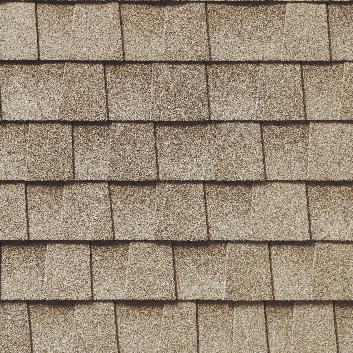 Stallion Roofing & Solar Solutions Images