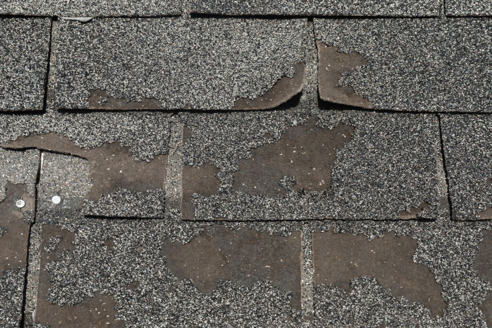 Stallion Roofing & Solar Solutions Images