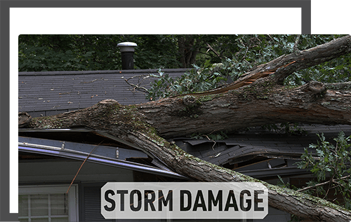 Stallions Solutions Images