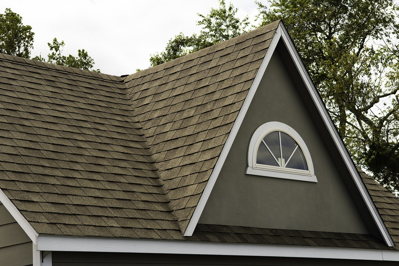 Stallions Solutions Images